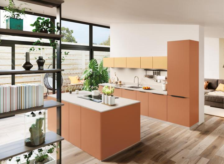 Réalisation Comera Cuisine Jungle